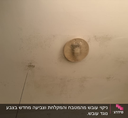 תקרה עם כתמי עובש ונזקי רטיבות